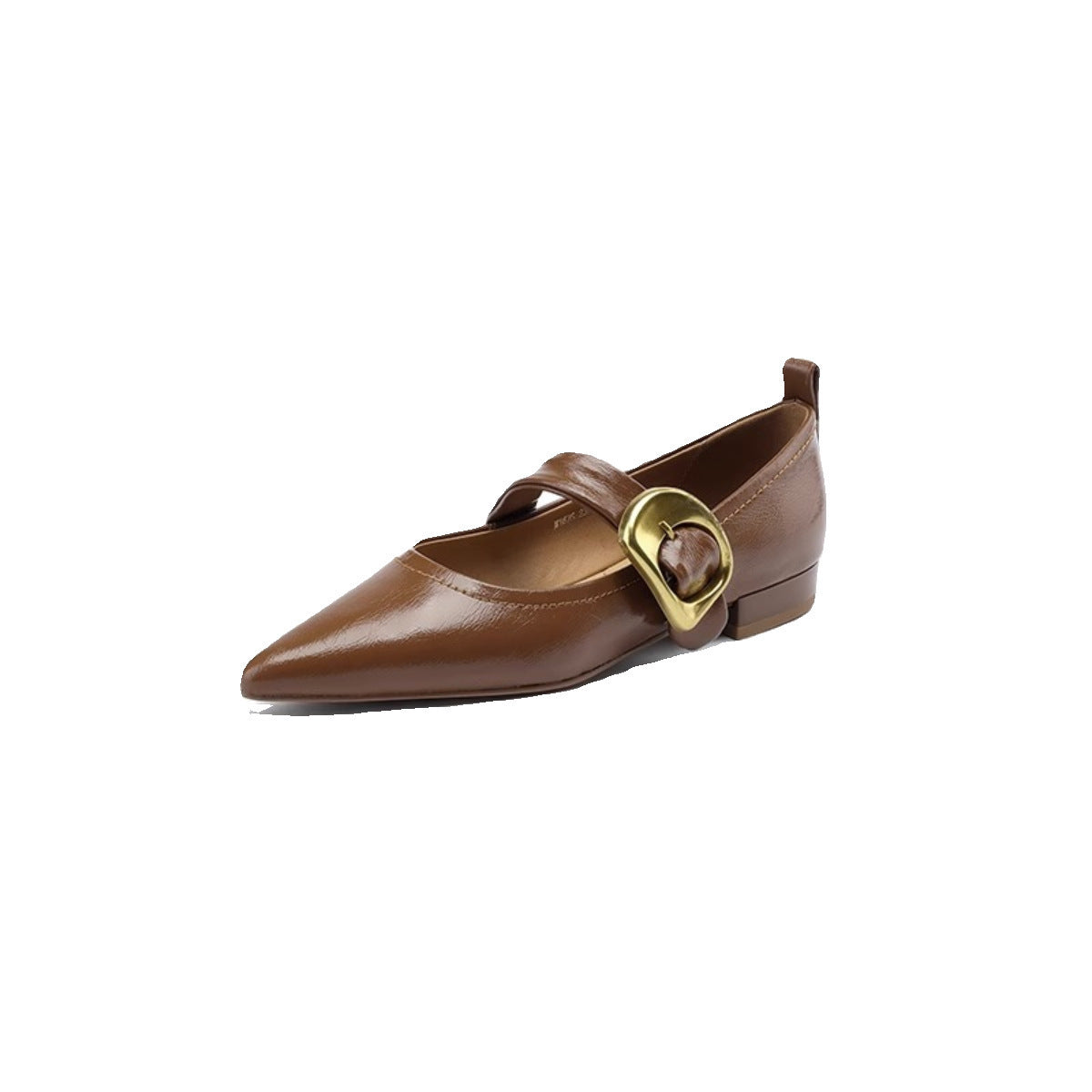 Pointed Buckle Strap Flats